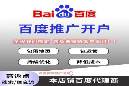某品牌SEM广告策略揭秘——代运营公司的智慧
